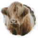 Miniature Highland Cattle Farm
